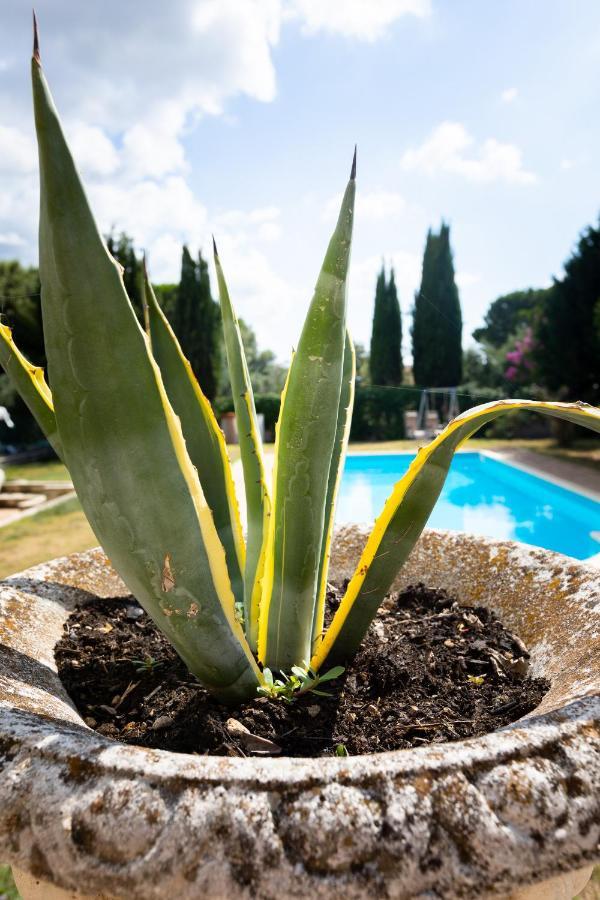 Appartamento Villa Matone Grottaferrata Buitenkant foto